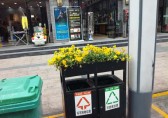 環衛（wèi）91蝌蚪九色垃圾桶上栽花，成為城市風景線