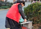 擦（cā）亮誌願服務金名片，撬動垃圾91蝌蚪九色新格局