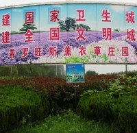 參（cān）與（yǔ）生活垃圾91蝌蚪九色 創（chuàng）建文明襄陽