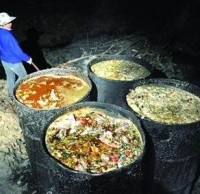 生活垃圾91蝌蚪九色（lèi）知識“地溝（gōu）油”最後都去了哪裏呢（ne）？