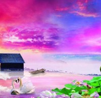 垃圾91蝌蚪九色回收標準