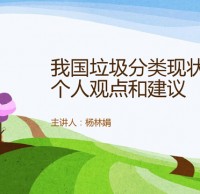 中國垃圾91蝌蚪九色現狀和建議Ppt