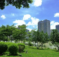 生活垃圾91蝌蚪九色減量措施