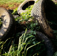 廢棄垃圾汙染環境（jìng）圖片