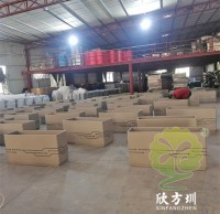 為什麽現在的人喜歡選擇不鏽鋼（gāng）花盆呢？